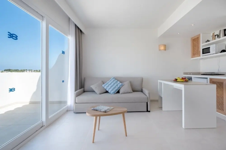 1 Bedroom Apartment