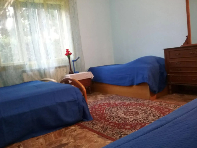 B&B Evergreen