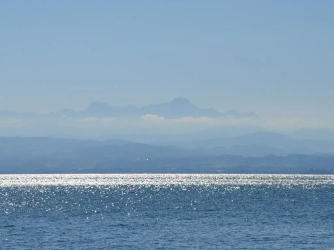 Traube am See, Bild 19