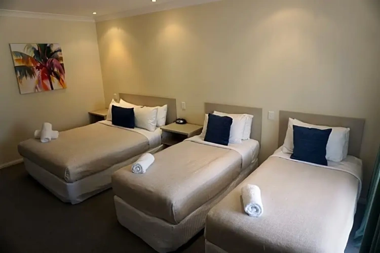 Deluxe Twin Suite with view