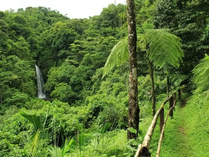 Villa Tavida Lodge