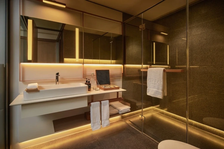 Standard Double Club room with balcony and with garden view