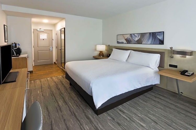 1 Bedroom Suite