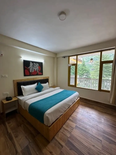 Superior Double room with balcony and with river view