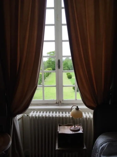 Standard Double room with park view