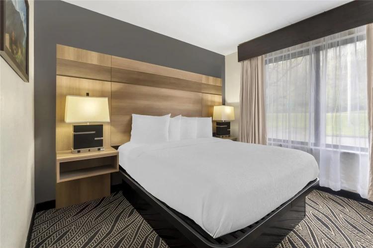 Double Suite with pool view