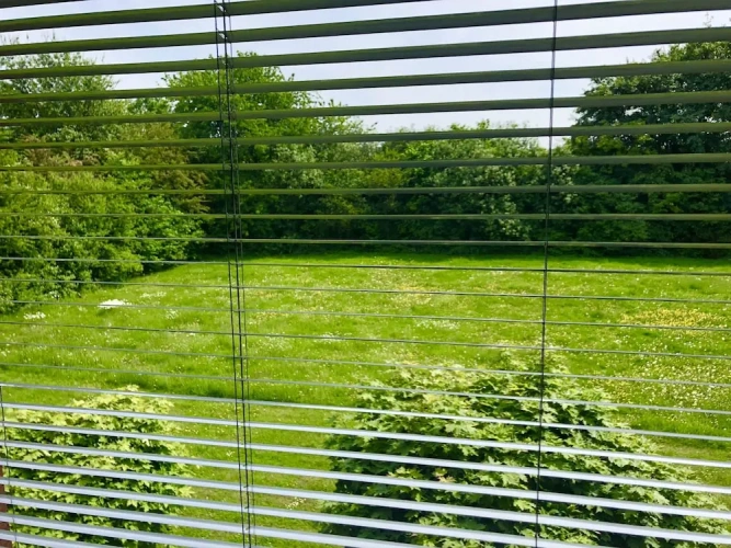 Classic Single room with garden view