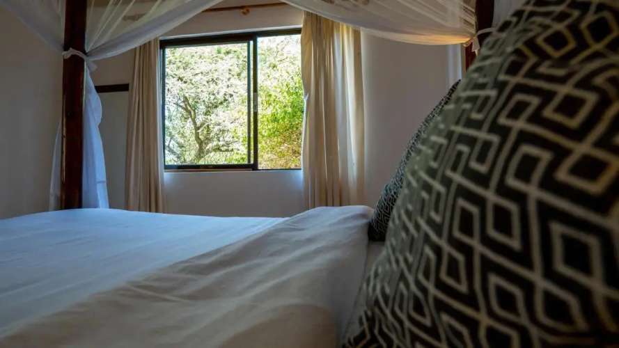 Black Wattle House