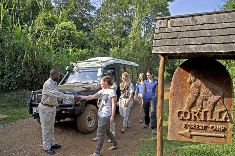 Sanctuary Gorilla Forest Camp