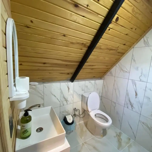 Classic Triple room with sea view