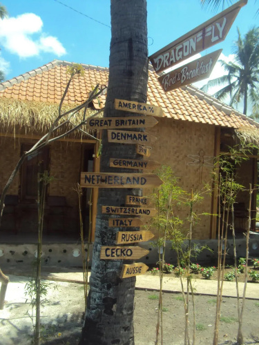 Dragonfly Bed and Breakfast