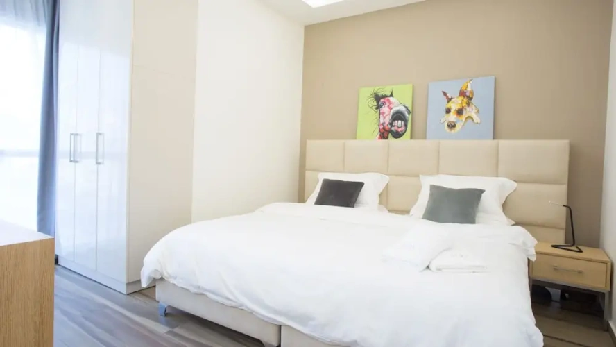 1 Bedroom Standard Apartment