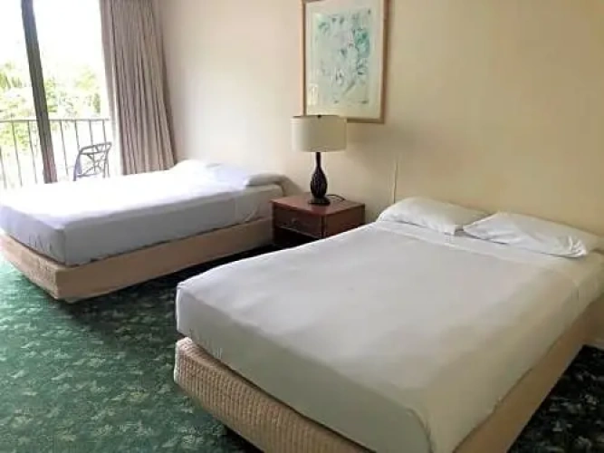 Standard Quadruple room with park view