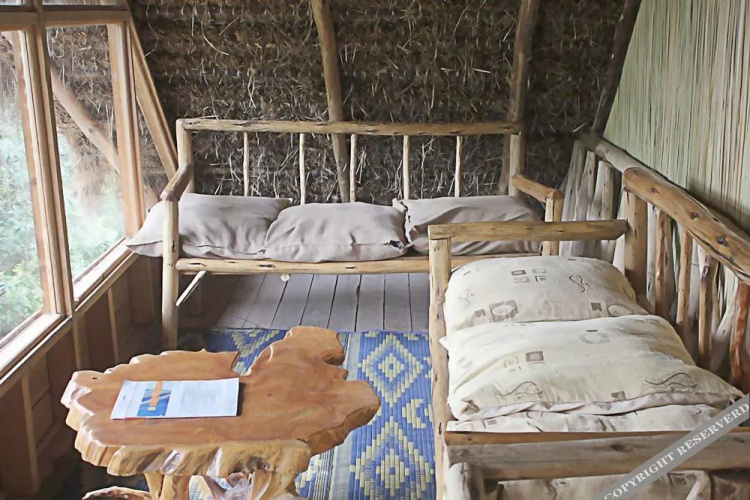 Oasis Eco Camp