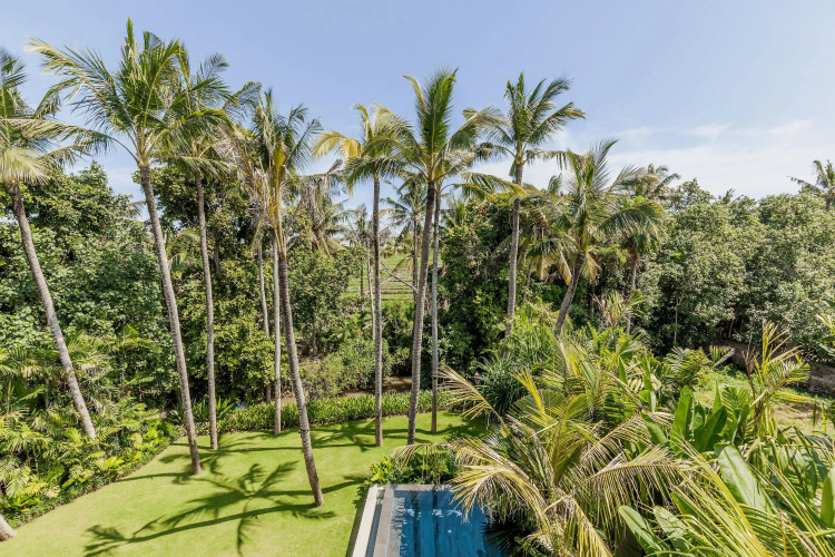 Design Perfection in Pererenan
