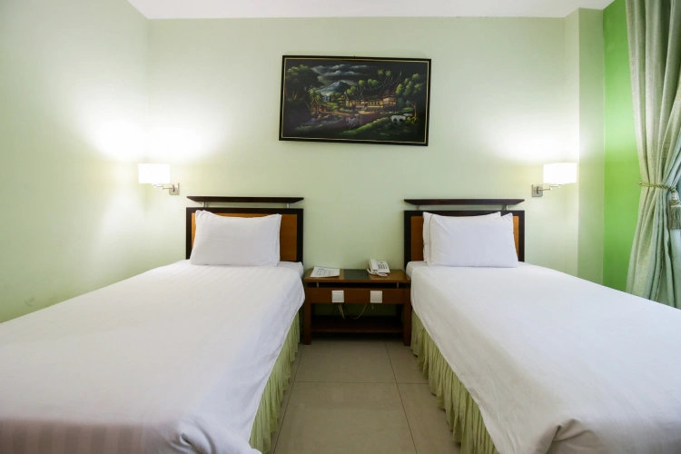 Deluxe Twin room