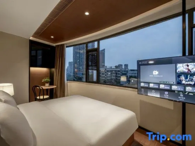Standard Double room with city view