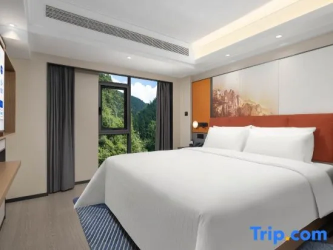 Double Family Suite