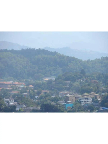 Vista Kandyan Crown