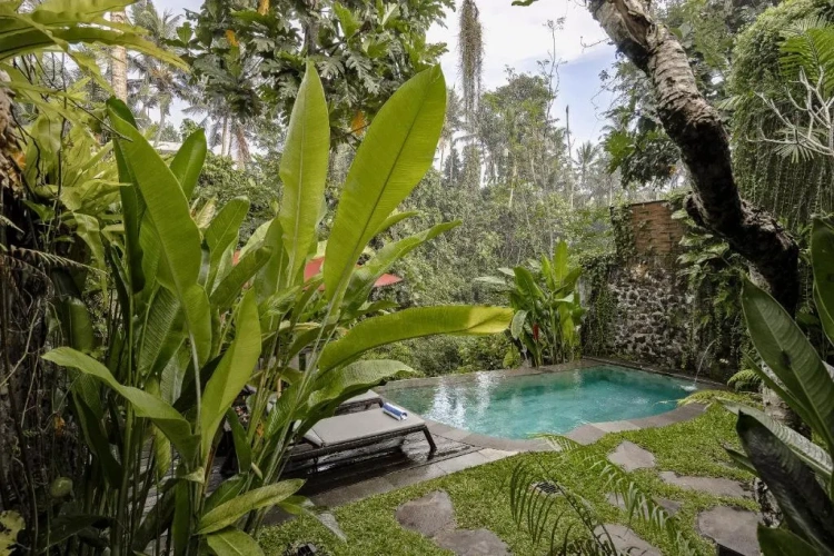 1 Bedroom Villa
