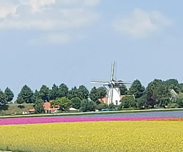B&B De Nieuwe Stal