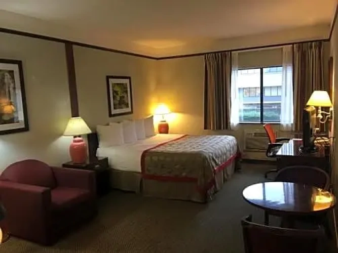 Deluxe Double Suite