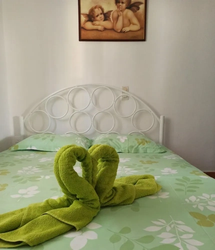 1 Bedroom Single Apartment