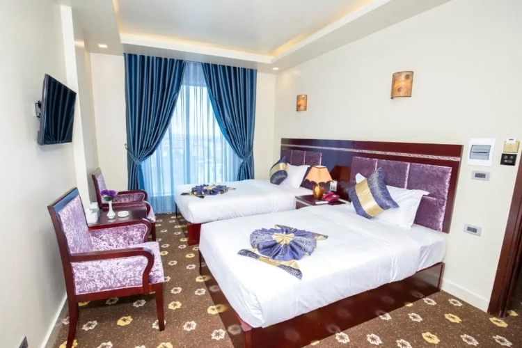 Superior Twin room with city view