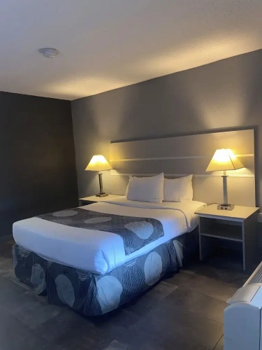 Standard Suite