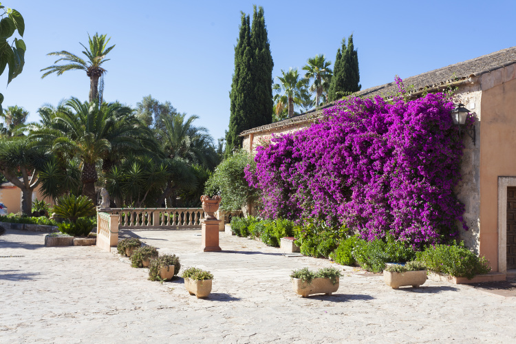 Es Revellar Art Resort - Adults Only photo 19