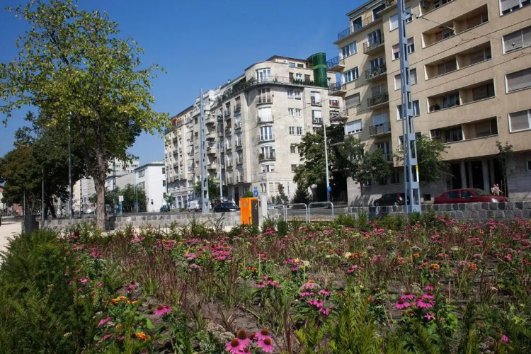 Riverside Panorama Apartment