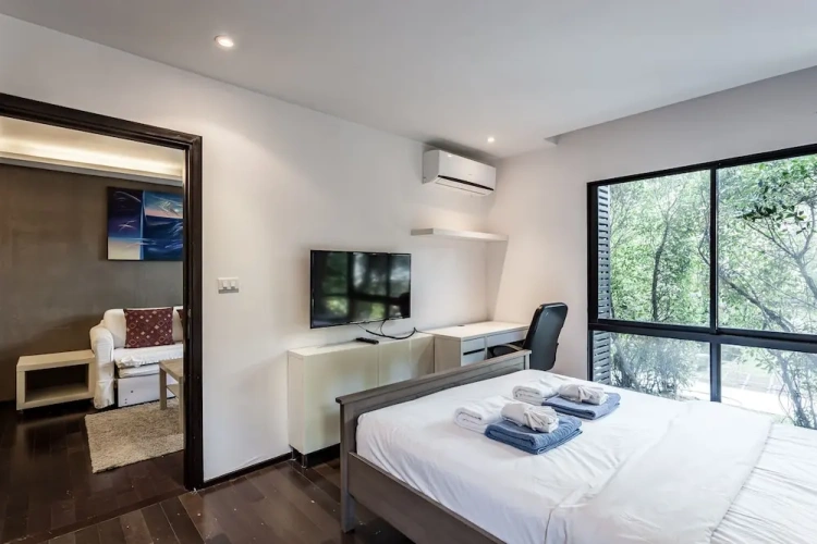 Classic Double Apartment with garden view