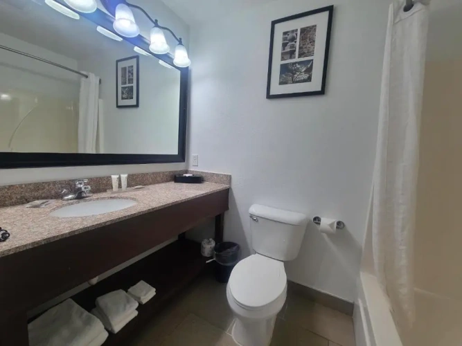 1 Bedroom Quadruple Suite