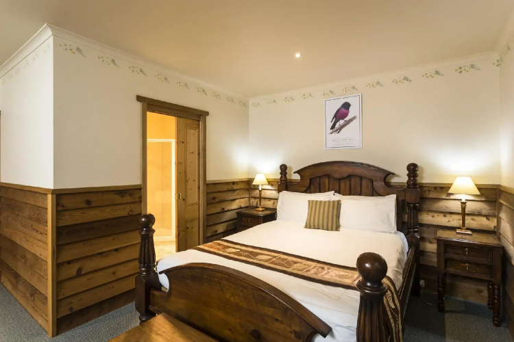 Cradle Forest Inn