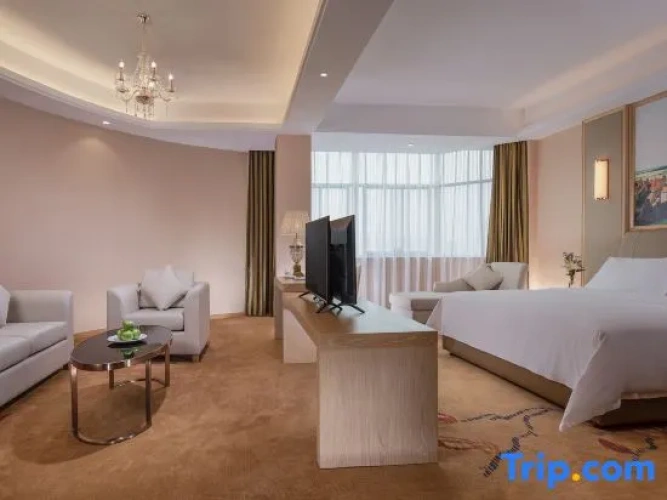 Luxury Suite