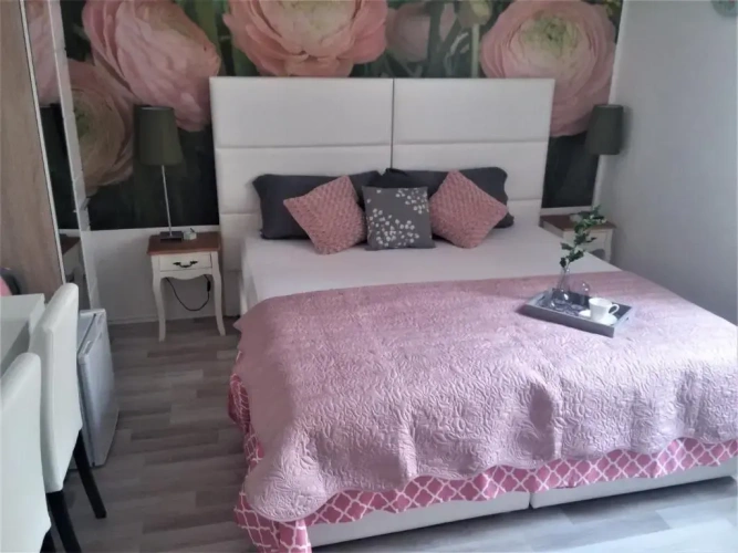 Standard Double room with balcony and with view