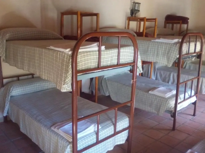 Bed in Dorm