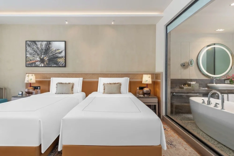 Deluxe Twin room with balcony