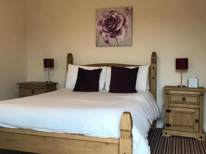 Standard Twin room with view