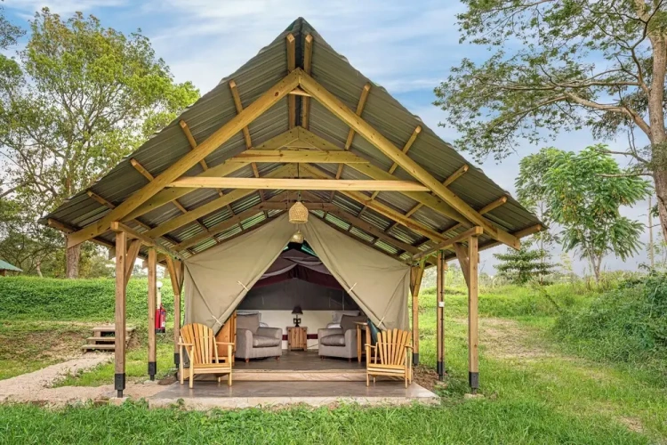 Tent