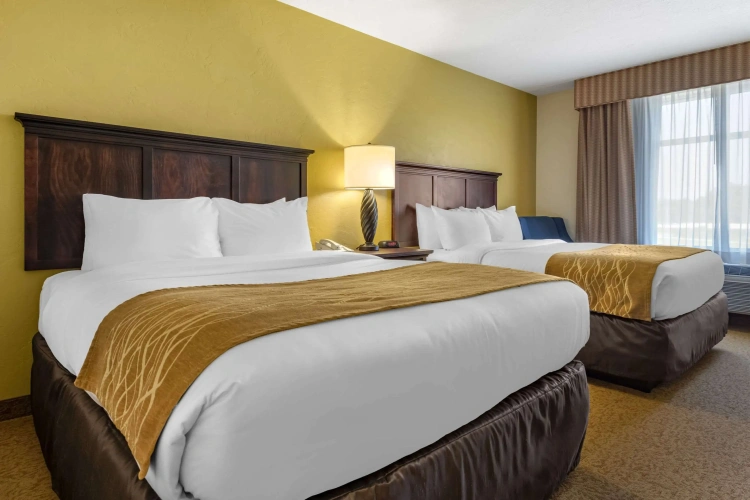 Quadruple Suite