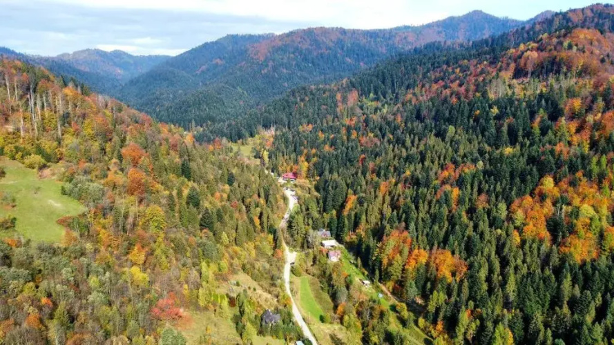 Góralskie Domki