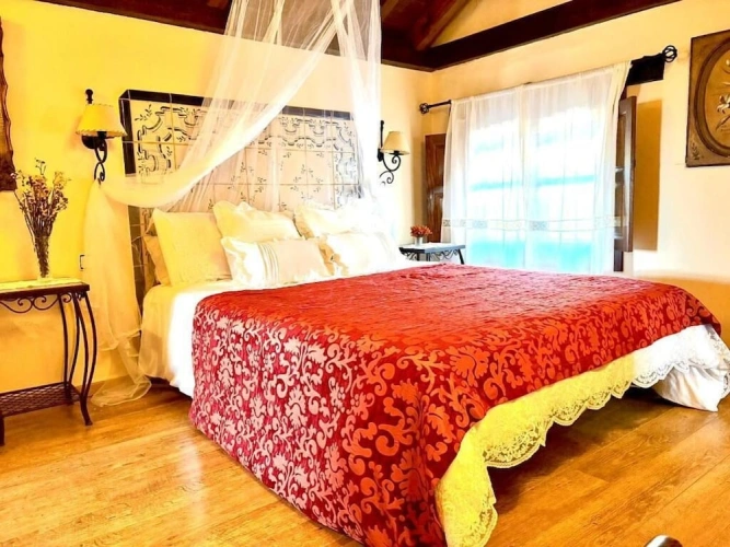 Comfort Double room with garden view