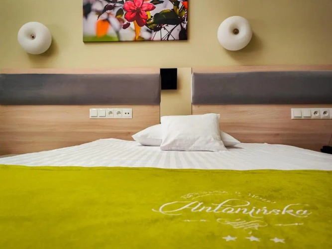 Deluxe Single room