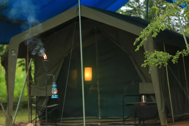 Tent