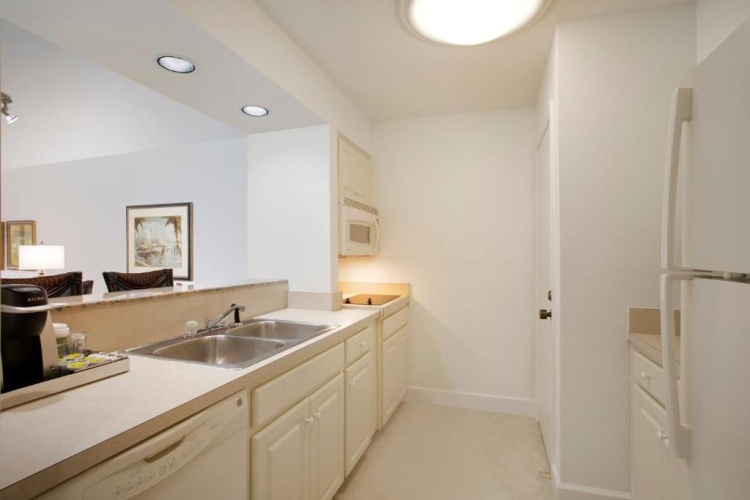 Saddlebrook Resort Tampa photo 37