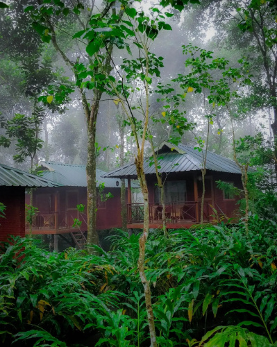 Monsoon Retreats