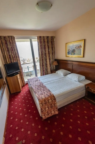 Standard Double room with balcony and with mountain view