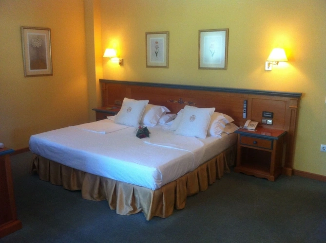 Standard Twin room with balcony