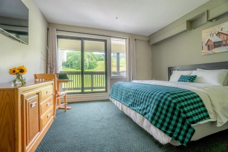 Standard Double room with balcony and with mountain view